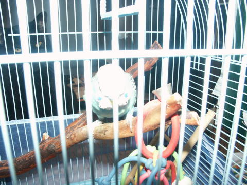 PICT0003