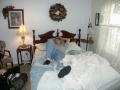 PICT0001