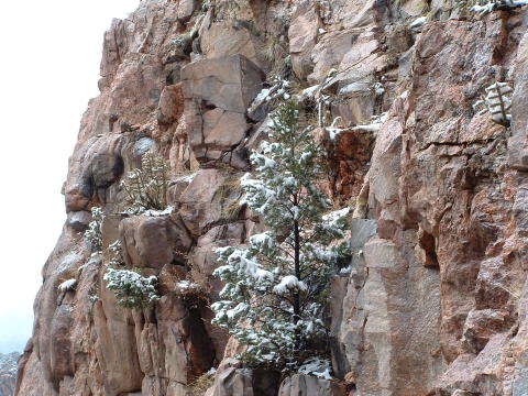 Royal Gorge062