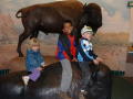 05-3KidsBuffalo