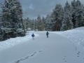 05-3BoysWalk