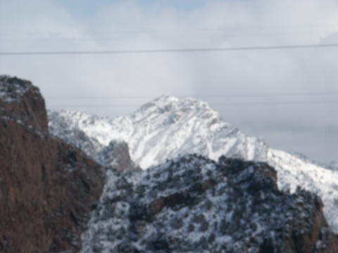 20050326060
