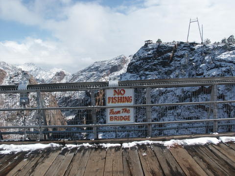 20050326069