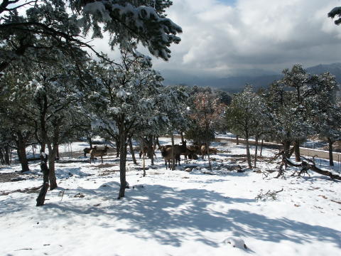 20050326082