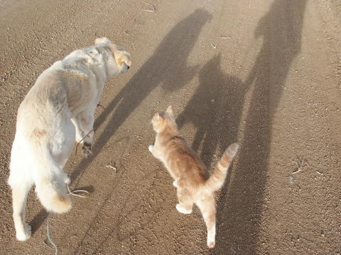 20050327017