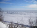 DSCF1401
