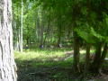 DSCN4412