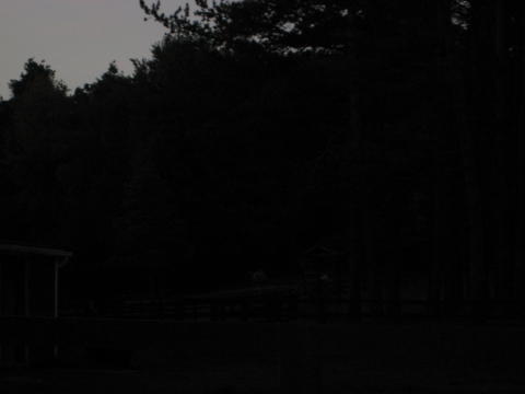 IMG_2553