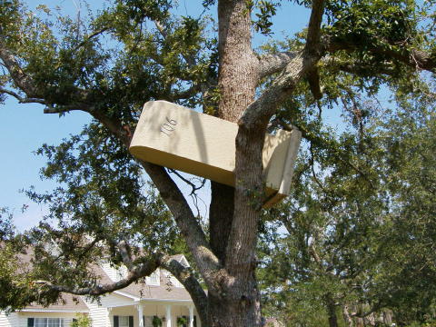TreeMail