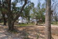 Fema_Trail